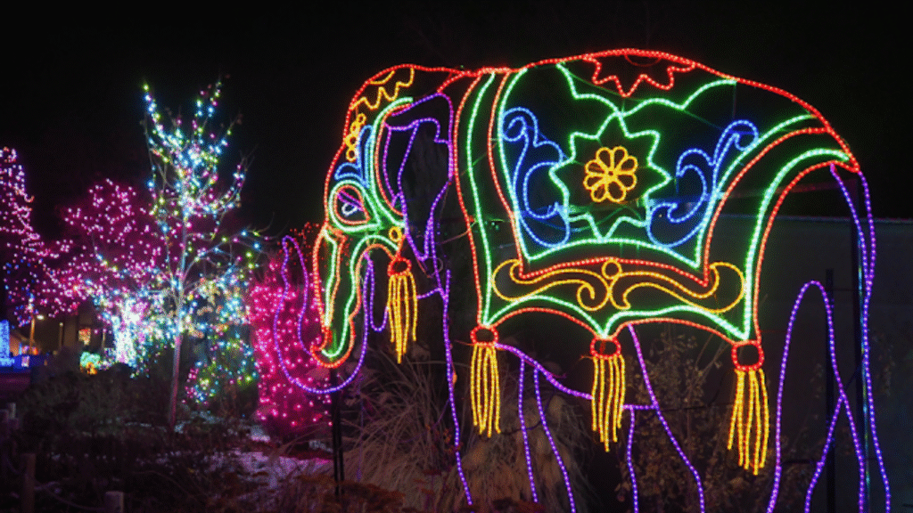 Colorado Holiday Travel Guide 2 Website hero banner image 20