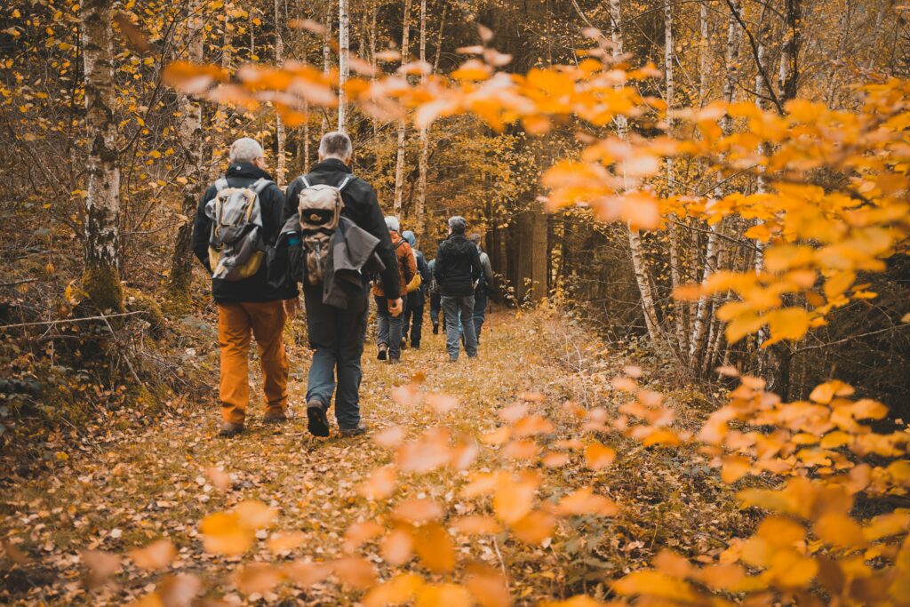 Hikers walking a golden aspen trail in colorado during fall - things to do in colorado this fall